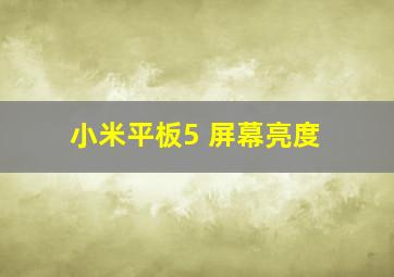 小米平板5 屏幕亮度